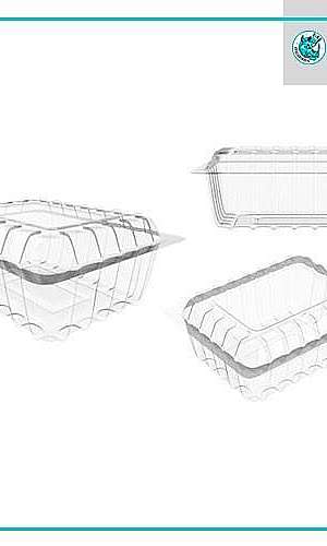 Embalagens descartáveis Embalagens descartáveis